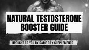 How Workout Factors Your Body’s Production of testosterone?