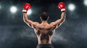 Online Boxing Betting Offering Dynamic Features for Fight Enthusiasts Online